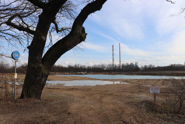 Dolní Lutyně, 22.3.2023
Dubová alej u Rybníků. Pohled na elektrárnu Dětmarovice.
Keywords: Dolní Lutyně Rybníky dubová alej