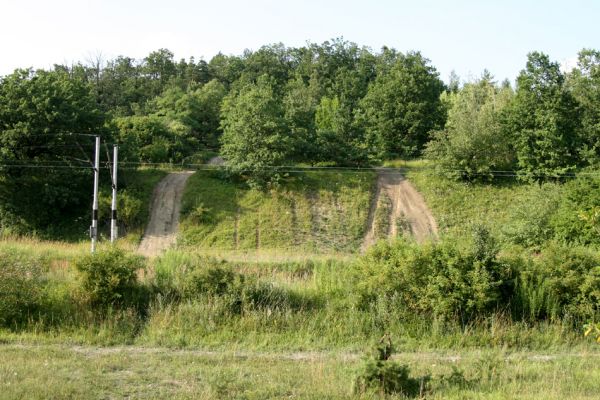 Svinárky-Dehetník, 25.7.2008
Pohled na step od jihu přes železniční trať. Step ohrožují nejen náletové dřeviny, ale také plány hradeckých radních na výstavbu silnice.
Klíčová slova: Hradec Králové Svinárky Dehetník step Agriotes gallicus