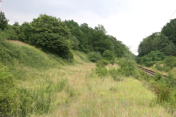 Hradec Králové-Svinárky, Dehetník, 23.7.2010
Sprašová step u železniční trati postupně zarůstá, ale kovaříci Agriotes gallicus ji stále osidlují.
Mots-clés: Hradec Králové Svinárky Dehetník Agriotes gallicus