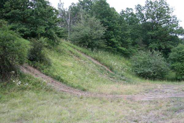 Hradec Králové-Svinárky, Dehetník, 23.7.2010
Sprašová step u železniční trati postupně zarůstá, ale kovaříci Agriotes gallicus ji stále osidlují.
Klíčová slova: Hradec Králové Svinárky Dehetník Agriotes gallicus