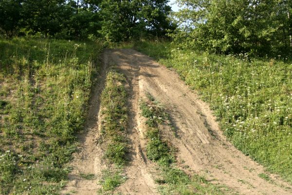 Svinárky-Dehetník, 25.7.2008
Bez pomoci vyznavačů terénních strojů by step zanikla. Ale ještě není vyhráno. Okraje stepi zarůstají i nadále náletovými dřevinami a bohužel, i hradečtí radní si na ni brousí zuby - chtějí tudy vést silnici...
Klíčová slova: Hradec Králové Svinárky Dehetník step Agriotes gallicus