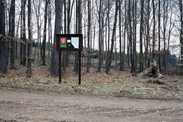 Dešov, 10.4.2004
Lesní hospodářství na Suché hoře. 


Mots-clés: Dešov Suchá hora Calambus bipustulatus