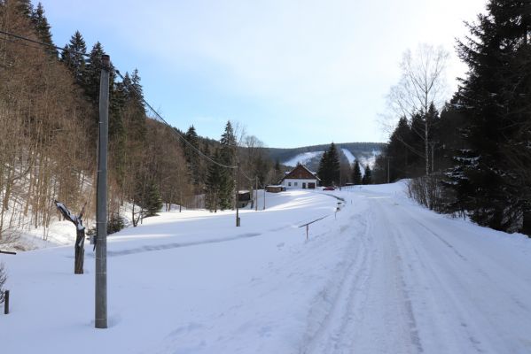 Deštné v Orlických horách, 15.2.2021
Údolí Bělé pod Šerlišským dolem.
Schlüsselwörter: Deštné v Orlických horách Orlické hory údolí Bělé