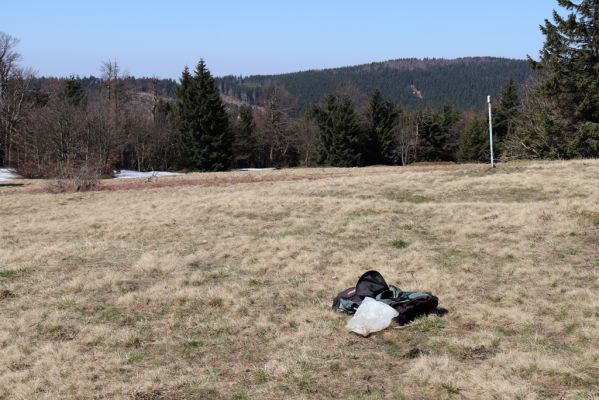 Deštné v Orlickách horách, 20.4.2019
Orlické hory, louka u chaty Šerlich.
Klíčová slova: Deštné v Orlickách horách Orlické hory chata Šerlich louka