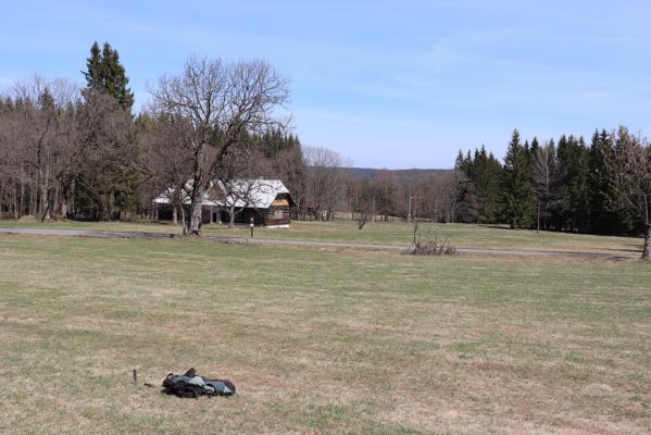 Orlické Záhoří, 20.4.2019
Trčkov - louka.
Klíčová slova: Orlické Záhoří Trčkov louka