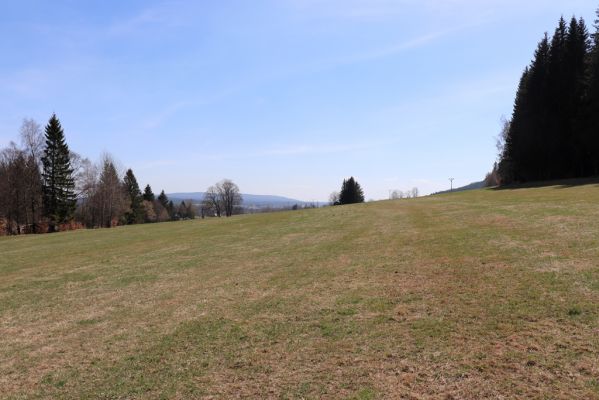 Orlické Záhoří, 20.4.2019
Trčkov - louka.
Schlüsselwörter: Orlické Záhoří Trčkov louka