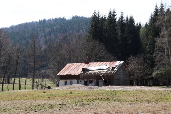 Orlické Záhoří, 20.4.2019
Trčkov - louka.
Mots-clés: Orlické Záhoří Trčkov Josef Mertlík dům