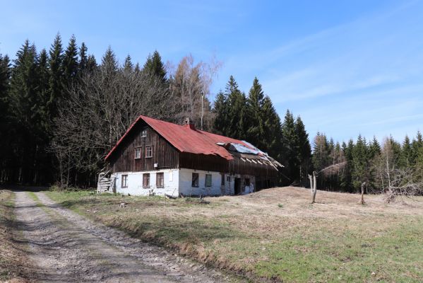 Orlické Záhoří, 20.4.2019
Trčkov - louka.
Schlüsselwörter: Orlické Záhoří Trčkov Josef Mertlík dům