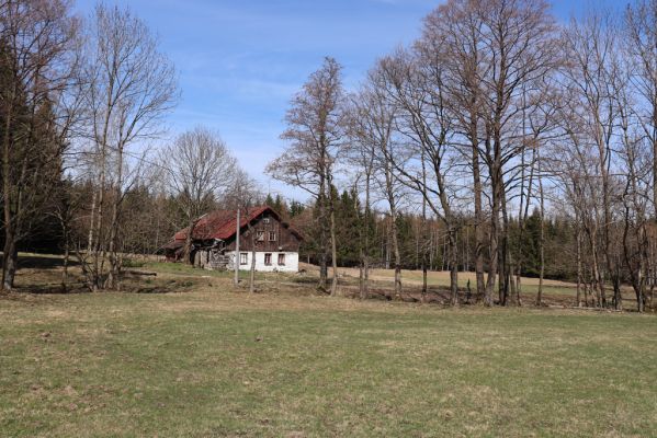 Orlické Záhoří, 20.4.2019
Trčkov - louka.
Keywords: Orlické Záhoří Trčkov Josef Mertlík dům