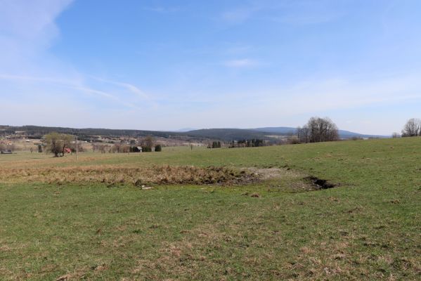 Orlické Záhoří, 20.4.2019
Trčkov - louka.
Klíčová slova: Orlické Záhoří Trčkov louka