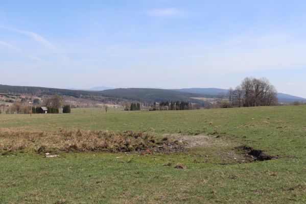 Orlické Záhoří, 20.4.2019
Trčkov - louka.
Schlüsselwörter: Orlické Záhoří Trčkov louka