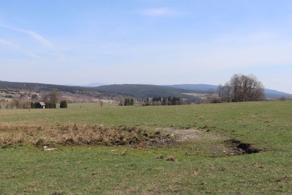 Orlické Záhoří, 20.4.2019
Trčkov - louka.
Klíčová slova: Orlické Záhoří Trčkov louka