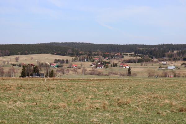 Orlické Záhoří, 20.4.2019
Trčkov - pastvina. Pohled na obec Lasówka (Polsko).
Klíčová slova: Orlické Záhoří Trčkov pastvina Lasówka