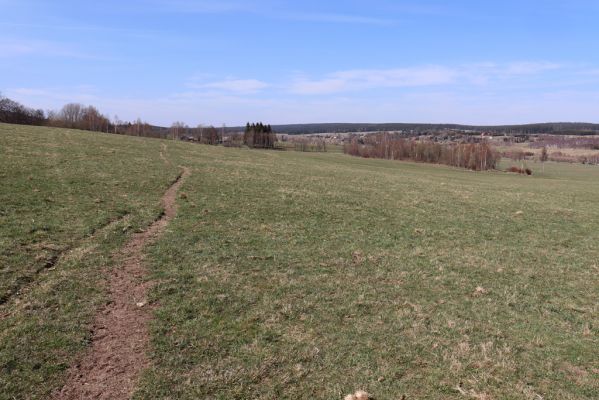 Orlické Záhoří, 20.4.2019
Zelenka – Jadrná, pastviny.
Keywords: Orlické Záhoří Zelenka Jadrná pastvina