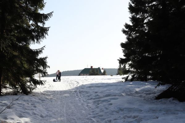 Deštné v Orlických horách, 25.2.2021
Masarykova chata od vrchu Šerlich.
Klíčová slova: Orlické hory Deštné v Orlických horách vrch Šerlich Masarykova chata