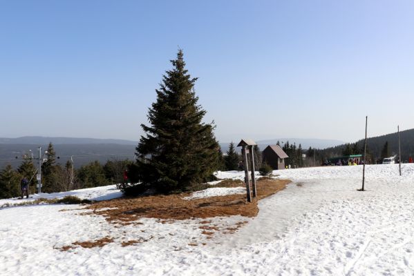 Deštné v Orlických horách, 25.2.2021
Nad Masarykovou chatou - vlevo lyžařský vlek "Transit Masarykowa".
Keywords: Orlické hory Deštné v Orlických horách Šerlich Masarykova chata