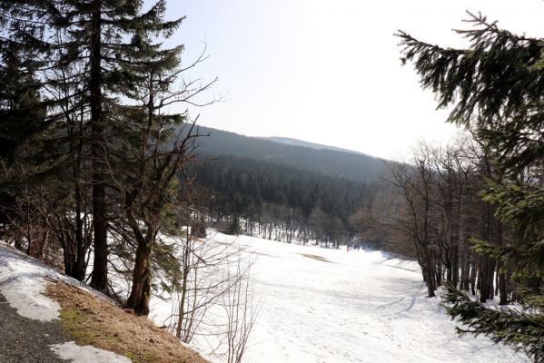 Deštné v Orlických horách, 25.2.2021
Louky v sedle Šerlich.
Schlüsselwörter: Orlické hory Deštné v Orlických horách sedlo Šerlich