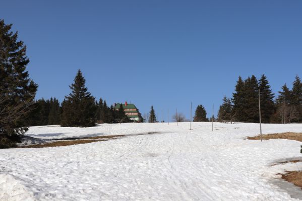 Deštné v Orlických horách, 25.2.2021
Pohled od sedla Šerlich na Masarykovu chatu.
Klíčová slova: Orlické hory Deštné v Orlických horách sedlo Šerlich Masarykova chata