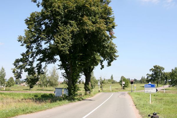 Žamberk, Dlouhoňovice, 21.8.2010
Přirozená ochrana proti krascům lipovým. Větve ve spodní části kmene lípy chrání strom před jeho nadměrným osluněním.
Mots-clés: Žamberk Dlouhoňovice Lamprodila rutilans krasec lipový