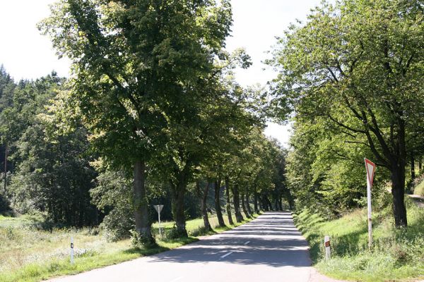 Žamberk, Dlouhoňovice, 21.8.2010
Lipová alej u Dlouhoňovického potoka.
Klíčová slova: Žamberk Dlouhoňovice Lamprodila rutilans krasec lipový