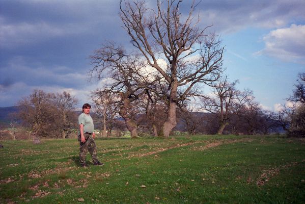 Dobrá Niva, 28.4.2001
Pastevní les Gavurky.


Klíčová slova: Dobrá Niva Gavurky Martin Samek