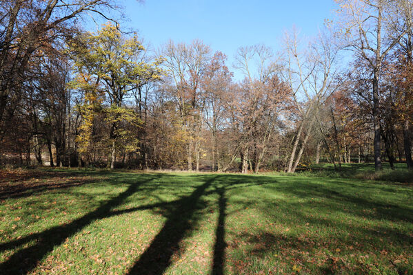 Dobřenice, 8.11.2022
Zámecký park.
Keywords: Dobřenice zámek park