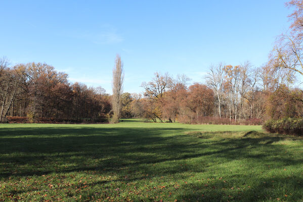 Dobřenice, 8.11.2022
Zámecký park.
Schlüsselwörter: Dobřenice zámek park