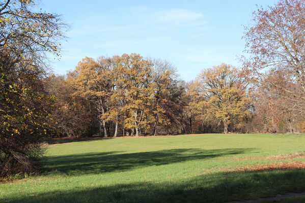 Dobřenice, 8.11.2022
Zámecký park.
Klíčová slova: Dobřenice zámek park