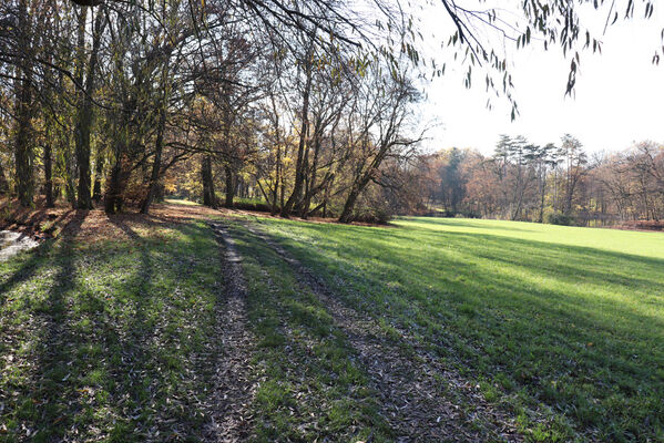 Dobřenice, 8.11.2022
Zámecký park.
Keywords: Dobřenice zámek park