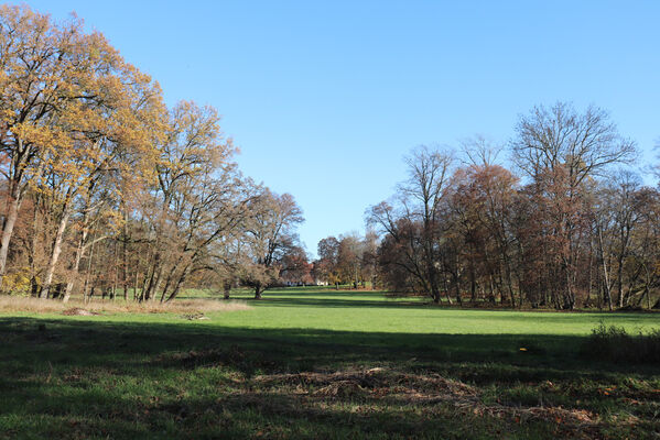 Dobřenice, 8.11.2022
Zámecký park.
Schlüsselwörter: Dobřenice zámek park