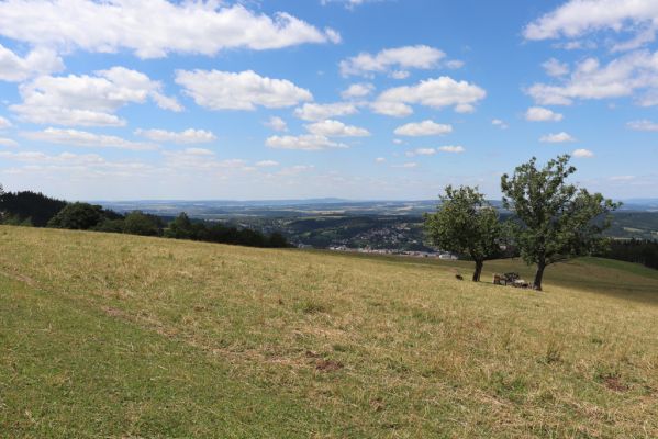 Náchod, 3.7.2019
Vrch Dobrošov, pastvina. Pohled na Zvičinu.
Klíčová slova: Náchod vrch Dobrošov pastvina