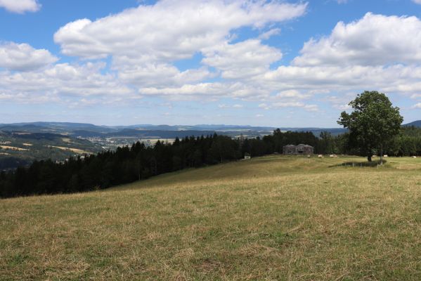 Náchod, 3.7.2019
Vrch Dobrošov, pastvina u pěchotního sbubu Jeřáb. Pohled na Hronov a Ostaš.
Klíčová slova: Náchod vrch Dobrošov pastvina