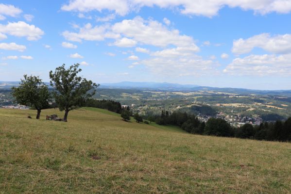 Náchod, 3.7.2019
Vrch Dobrošov, pastvina. Pohled na Náchod a Krkonoše.
Schlüsselwörter: Náchod vrch Dobrošov pastvina