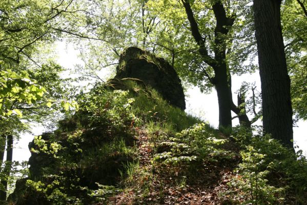 Doksy, 29.4.2018
Mlýnský vrch - vrcholová skála. Biotop kovaříka Selatosomus cruciatus.
Mots-clés: Doksy Mlýnský vrch Selatosomus cruciatus