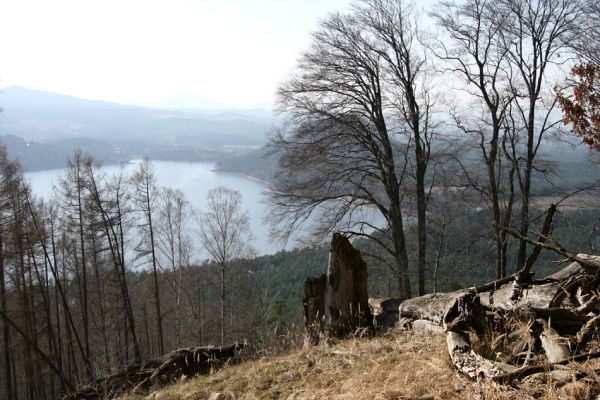 Staré Splavy, 3.4.2009
Pohled z vrchu Borný na Máchovo jezero a Staré Splavy.
Klíčová slova: Staré Splavy Máchovo jezero Borný Ampedus cinnabarinus