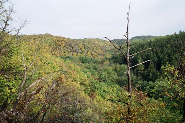 Dolní Břežany, 19.10.2004
Károvské údolí. Pohled od Jarova na Hradiště Závist.

Mots-clés: Dolní Břežany Károvské údolí Jarova Hradiště Závist Cardiophorus erichsoni