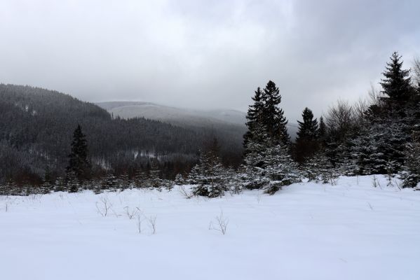 Králický Sněžník, pohled od mramorového lomu na údolí Moravy.
Mots-clés: Dolní Morava Králický Sněžník mramorový lom Morava