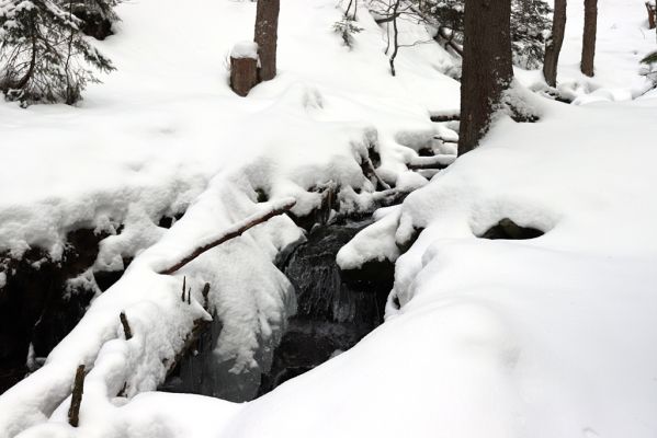 Dolní Morava, 27.1.2021
Králický Sněžník, Kamenitý potok.
Klíčová slova: Dolní Morava Králický Sněžník Kamenitý potok