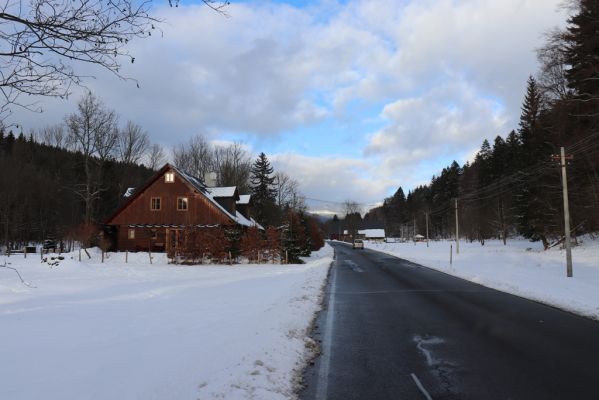 Dolní Morava, 27.1.2021
Pohled z Dolní Moravy na Králický Sněžník.
Klíčová slova: Dolní Morava Králický Sněžník