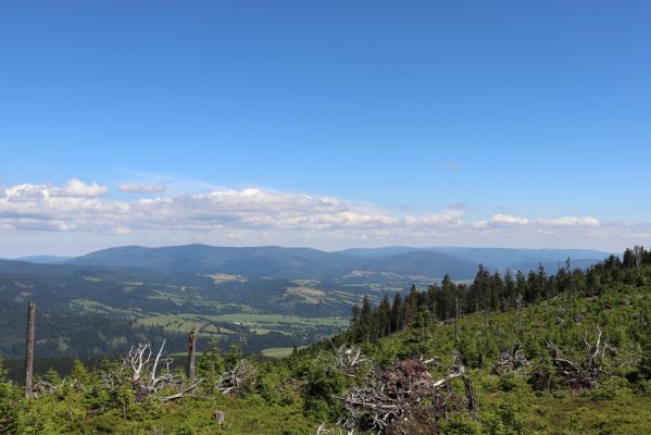 Dolní Morava, 14.7.2020
Králický Sněžník, Stříbrnická. Pohled na Hrubý Jeseník.
Schlüsselwörter: Králický Sněžník Dolní Morava Stříbrnická Hrubý Jeseník Ampedus aethiops