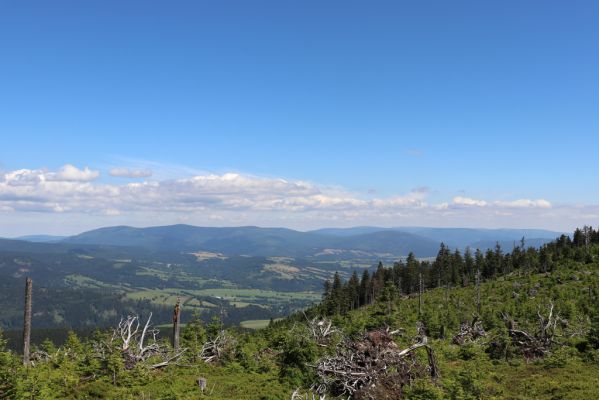 Dolní Morava, 14.7.2020
Králický Sněžník, Stříbrnická. Pohled na Hrubý Jeseník.
Klíčová slova: Králický Sněžník Dolní Morava Stříbrnická Hrubý Jeseník Ampedus aethiops