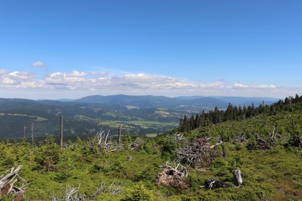 Dolní Morava, 14.7.2020
Králický Sněžník, Stříbrnická. Pohled na Hrubý Jeseník.
Klíčová slova: Králický Sněžník Dolní Morava Stříbrnická Hrubý Jeseník Ampedus aethiops