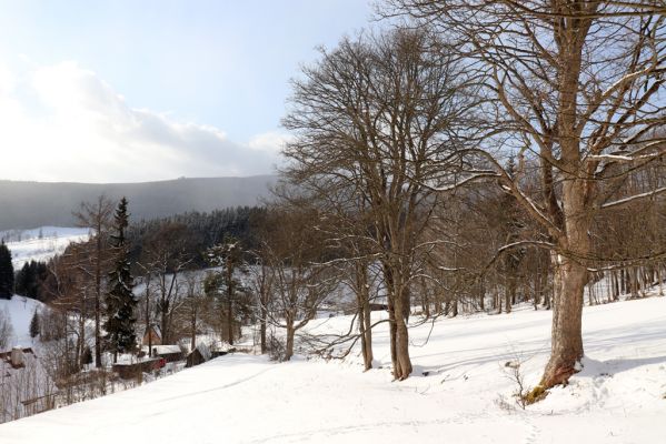 Horní Maršov, 20.3.2021
Dolní Albeřice.
Keywords: Horní Maršov Dolní Albeřice Krkonoše