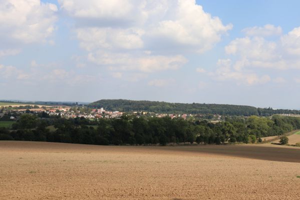 Jeřice, 14.9.2021
Dolní Černůtky - pohled na Cerekvice nad Bystřicí a Lysice.
Klíčová slova: Jeřice Dolní Černůtky Cerekvice nad Bystřicí Lysice