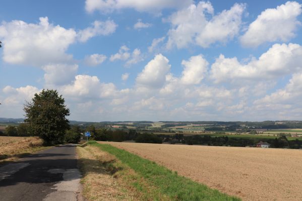 Jeřice, 14.9.2021
Dolní Černůtky - pohled na Vřešťovský chlum.
Klíčová slova: Jeřice Dolní Černůtky Vřešťovský chlum