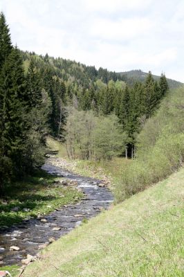 Dolní Malá Úpa, 10.5.2012
Údolí Malé Úpy jižně od Spáleného Mlýna.
Klíčová slova: Krkonoše Dolní Malá Úpa