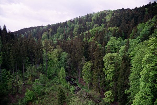 Domašov nad Bystřicí, 17.5.2004 
Pohled z Malého Rabštýna na Kamenné proudy u Domašova.
Mots-clés: Domašov nad Bystřicí Malý Rabštýn Kamenné proudy u Domašova