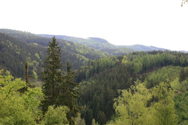 Doubí, údolí Ohře, 12.5.2008
Pohled ze západního svahu Vysokého hřbetu na údolí Ohře.
Klíčová slova: Slavkovský les Doubí údolí Ohře Vysoký hřbet