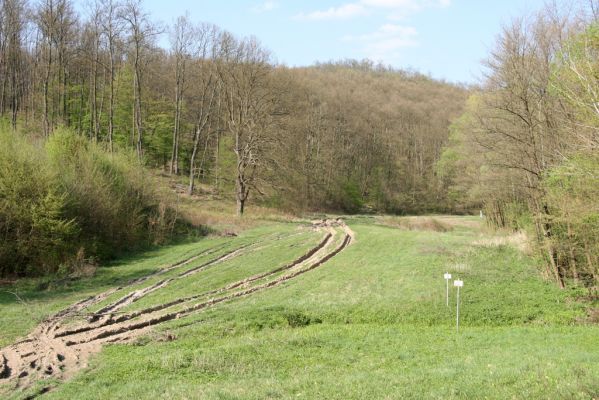 Šahy, 13.4.2016
Berinček. Údolí pod zarůstajícím pastevním lesem pod severozápadním svahem vrchu Drieňok.
Mots-clés: Šahy Drieňok Berinček