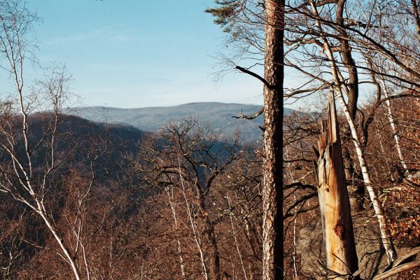 Vysoká Pec, Drmaly, 15.12.2006
Mufloní pahorek. Pohled na sever.
Klíčová slova: Krušné hory Vysoká Pec Drmaly Mufloní pahorek